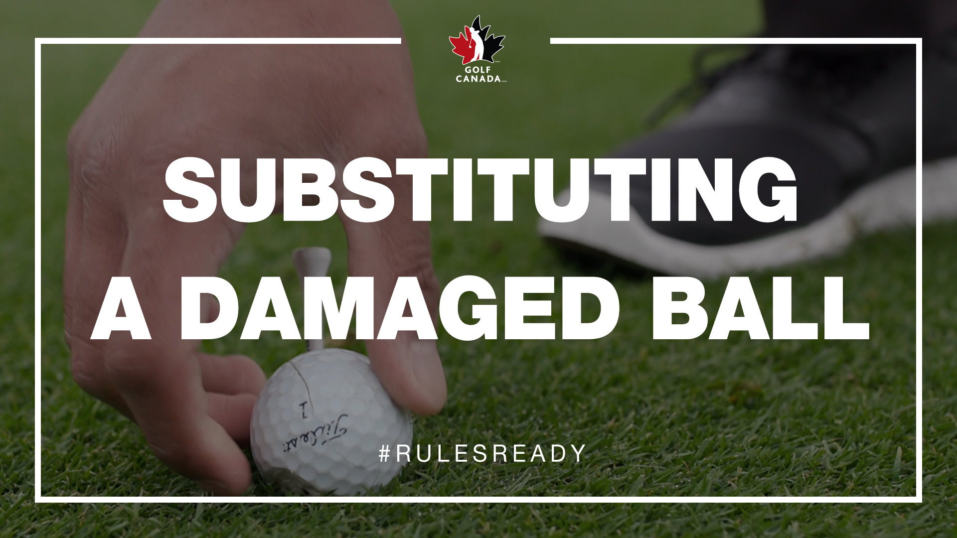 Rules of Golf Substituting damaged ball Golf New Brunswick