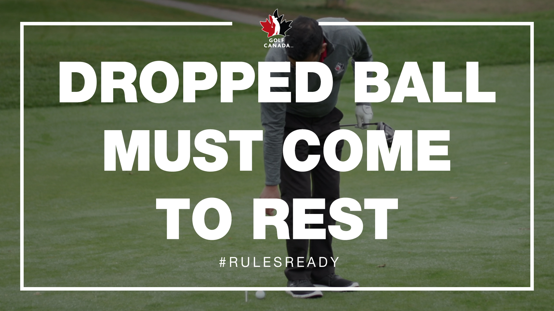 Rules of Golf Dropped ball must come to rest Golf New Brunswick
