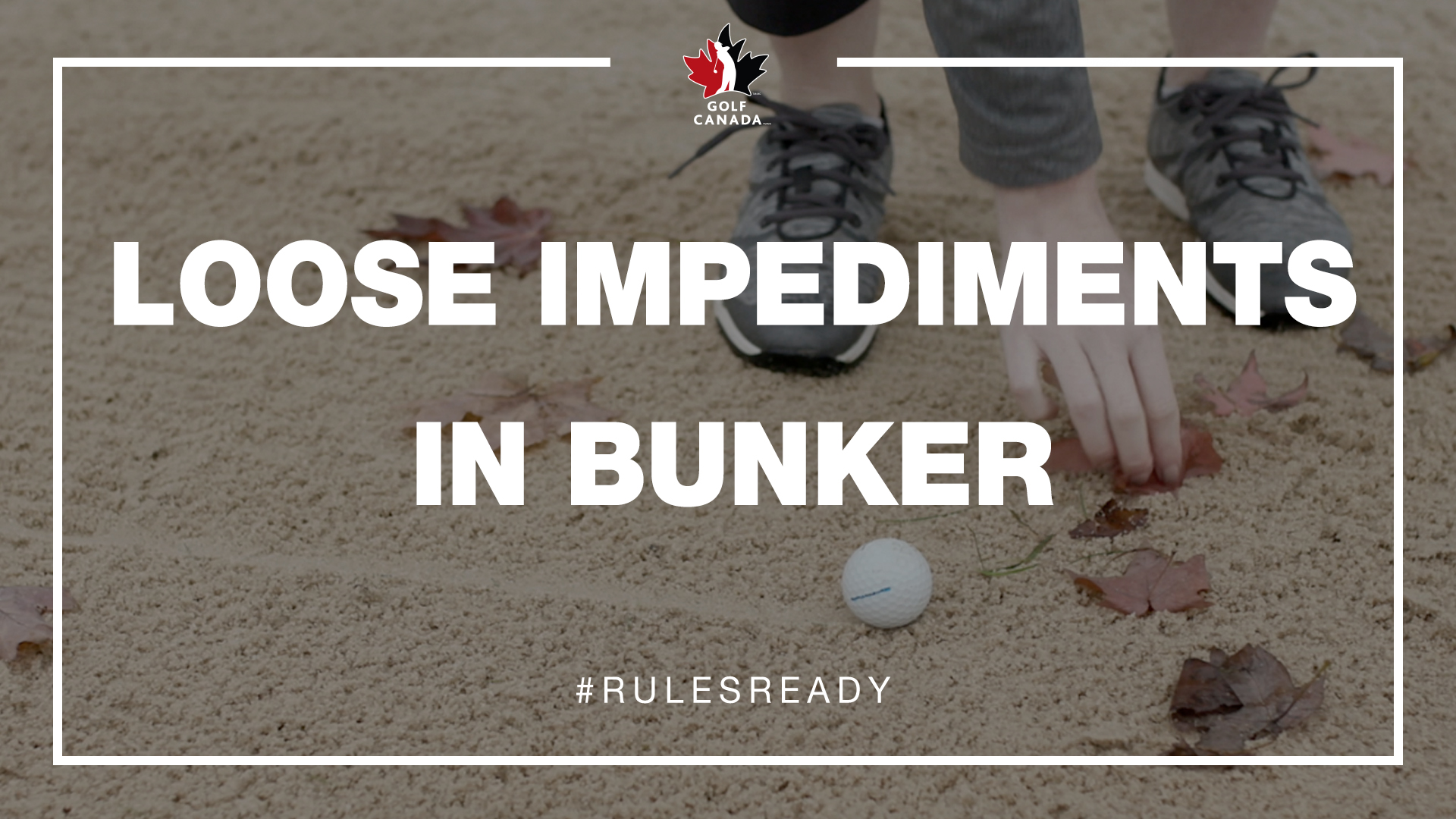 Rules of Golf Loose impediments in bunker Golf New Brunswick