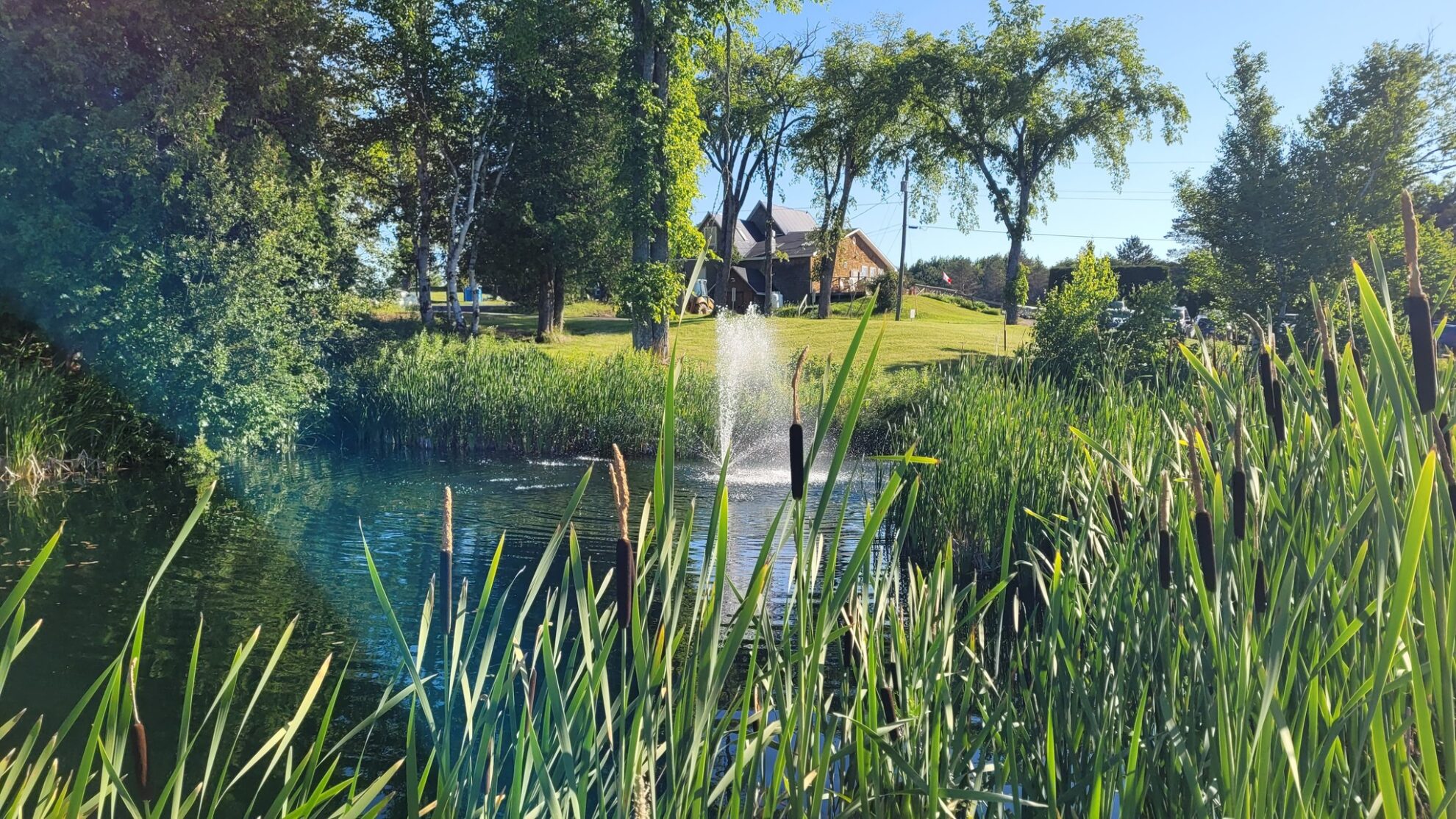 2022 NB Family Classic / Adult Junior and “Little Swingers”, Driven by